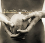 Between Darkness and Wonder - Lamb