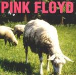 Dogs and Sheeps - Pink Floyd