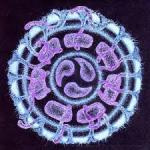 Dreamtime submersible