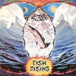 220px-Steve_Hillage_Fish_Rising