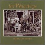 Fisherman's_Blues_Waterboys_Album_Cover